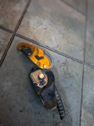 Petzl RIG Descensor