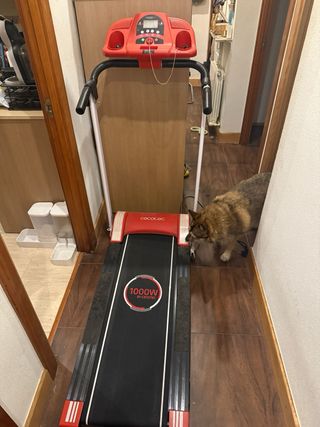 Tapis roulant elettrico Cecotec