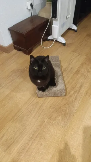 Lote Ropa Niña 0-5 Años