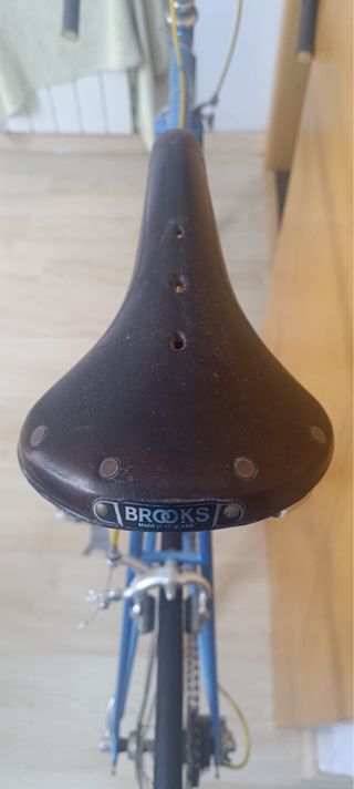 Bicicleta Moser Vintage Aldo