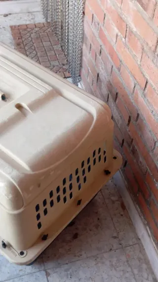 Transportín para mascotas Petmate