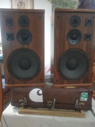 Pareja de altavoces hechos a medida