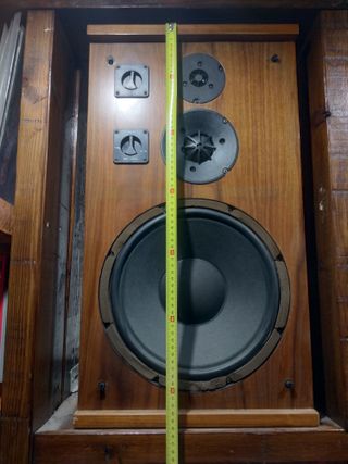 Pareja de altavoces hechos a medida