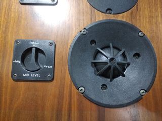 Pareja de altavoces hechos a medida