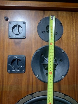 Pareja de altavoces hechos a medida