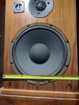 Pareja de altavoces hechos a medida