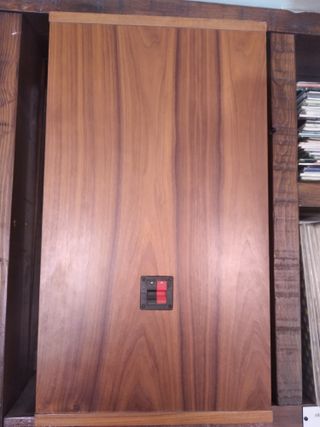 Pareja de altavoces hechos a medida