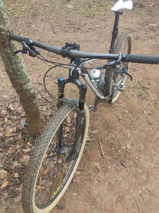 Specialized stumpjumper 29"