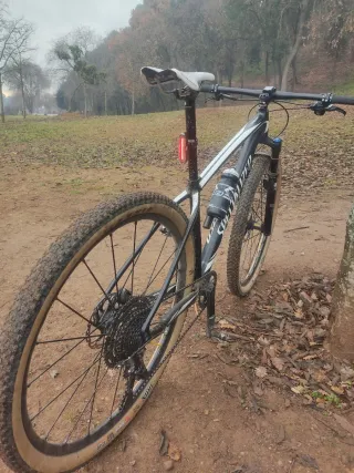 Specialized stumpjumper 29"