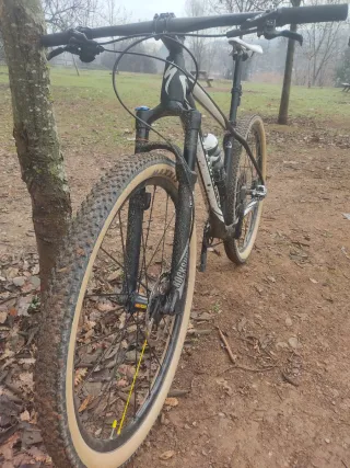 Specialized stumpjumper 29"