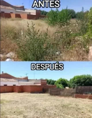 Jardinero comunidad de Madrid