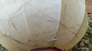 Lampada Flos Cocoon Anni 60