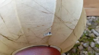 Lampada Flos Cocoon Anni 60