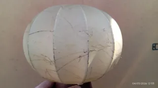 Lampada Flos Cocoon Anni 60