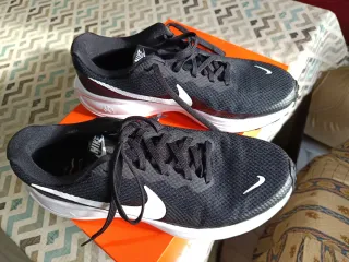 Zapatillas Nike Revolution 8 Talla 43