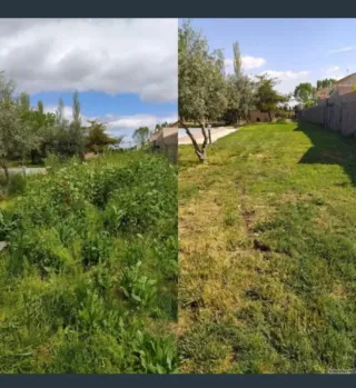 Desbroces y podas comunidad de Madrid