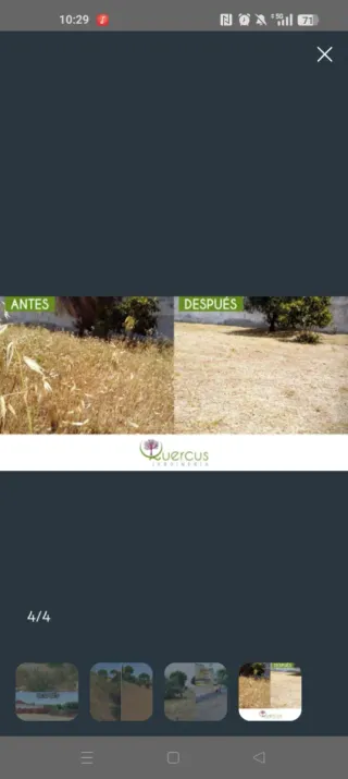 Desbroces y podas comunidad de Madrid