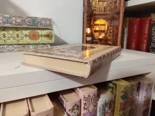 Libro adúltera