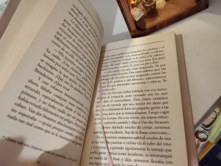 Libro adúltera