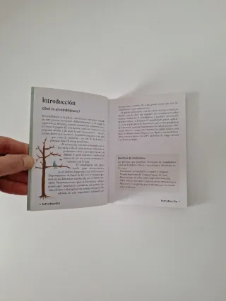 El pequeño libro del Mindfulness: 10 minutos al...