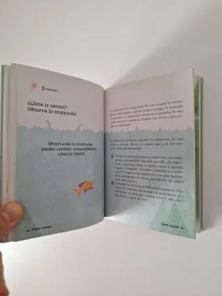 El pequeño libro del Mindfulness: 10 minutos al...