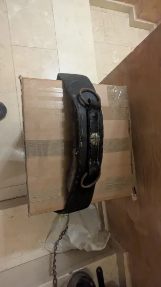 Arreos de caballo de cuero y cadena