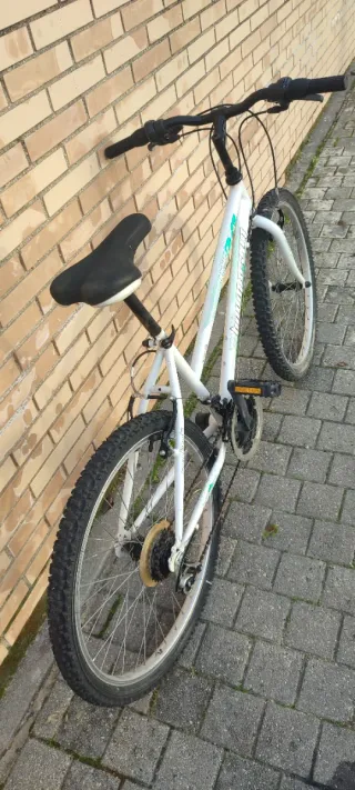 Bicicleta De Montaña 24 Pulgadas