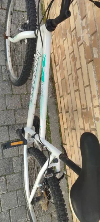 Bicicleta De Montaña 24 Pulgadas