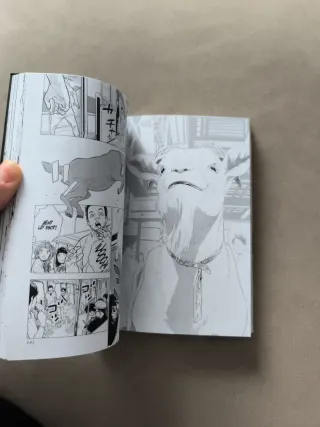 Mi amigo capricornio