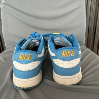 Nike Dunk Low Azul y Blanco