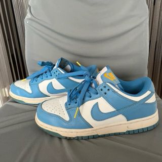 Nike Dunk Low Azul y Blanco