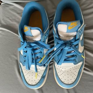 Nike Dunk Low Azul y Blanco