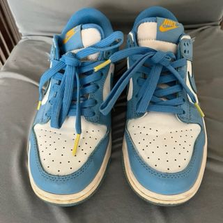 Nike Dunk Low Azul y Blanco