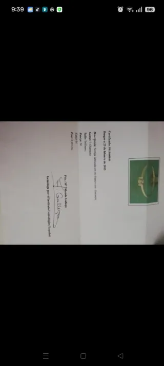 Anillo Oro Blanco Diamante