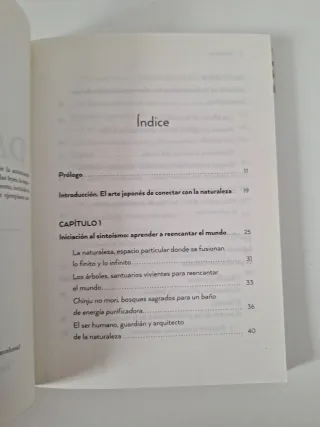 Daishizen: El arte japonés de conectar con la n...