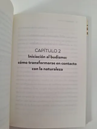 Daishizen: El arte japonés de conectar con la n...