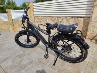 Rad Power Bikes RadRhino 6 Plus