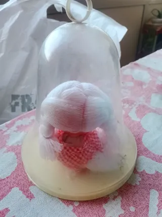 Bambola vintage in campana di vetro