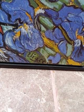 Cuadro Diseño Naturaleza Flores