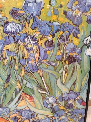 Cuadro Diseño Naturaleza Flores