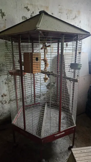 Jaula para loro grande