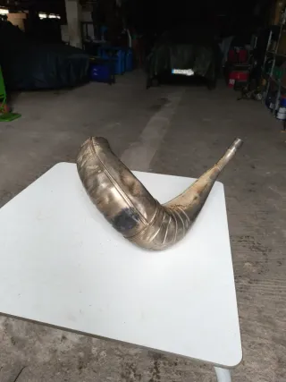 Escape Original KTM 20-23