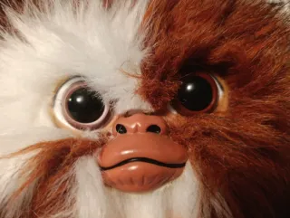 Gizmo Gremlins Peluche