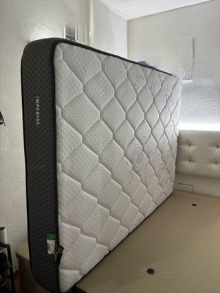 Canapé y colchón casi nuevos