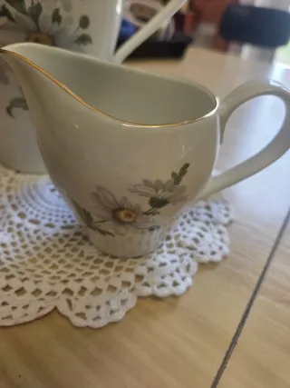 Elegante set in pregiata porcellana Richard Ginori