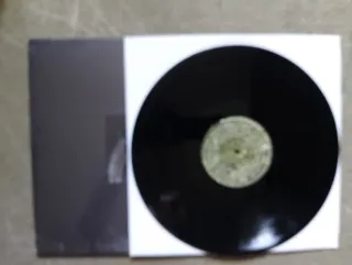 Brunnen "The Garden Of Perpetual Dreams" LP 2019