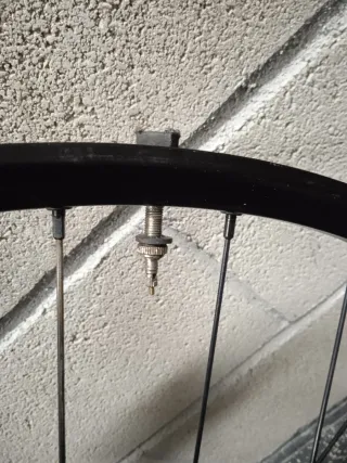 Ruota MTB 29 con disco