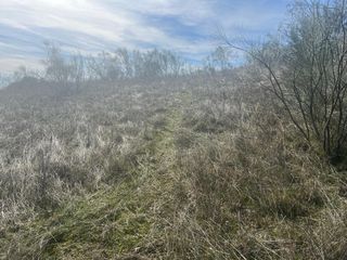 Paraje Torronteras las Minbreras
