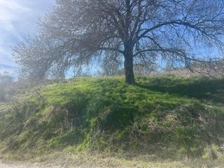 Paraje Torronteras las Minbreras
