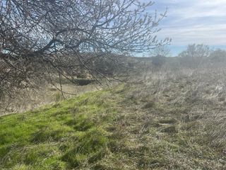 Paraje Torronteras las Minbreras